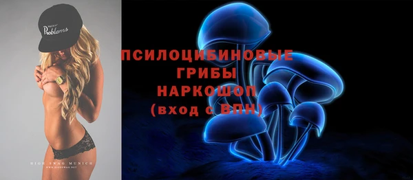 тгк Алексин