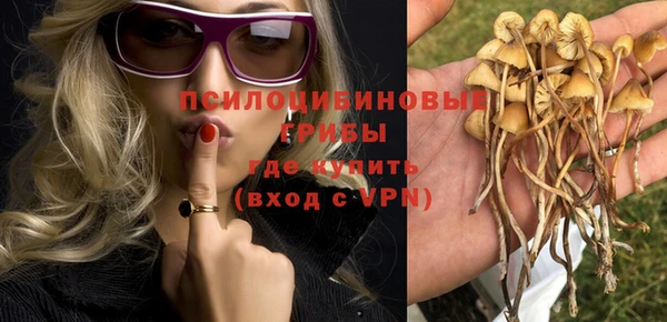 тгк Алексин