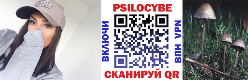 Галлюциногенные грибы Cubensis  Чебоксары 